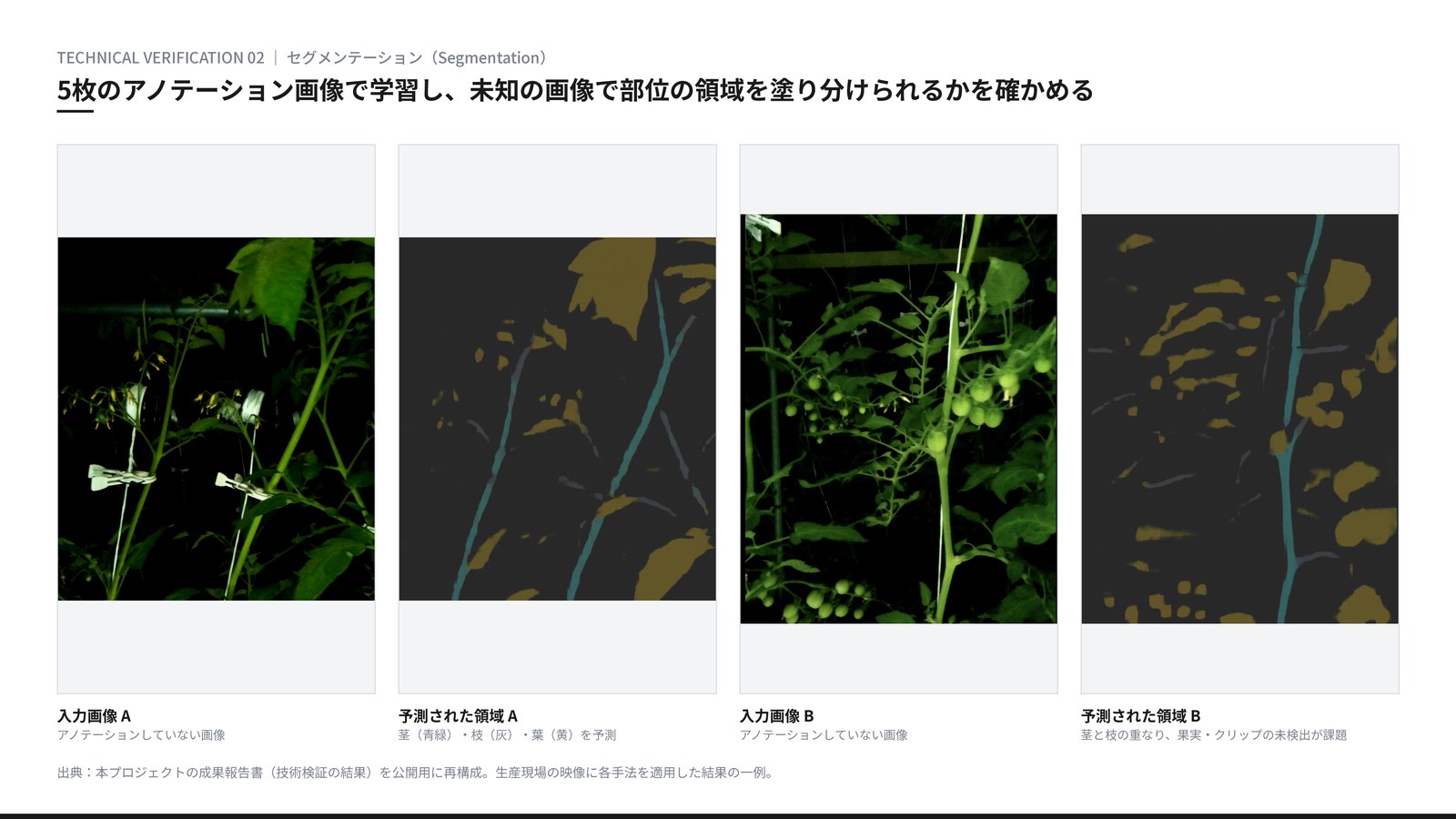 検証結果 セグメンテーション。トマトの入力画像2枚と、5枚のアノテーション画像で学習したモデルが予測した茎・枝・葉・果実の領域マスク。
